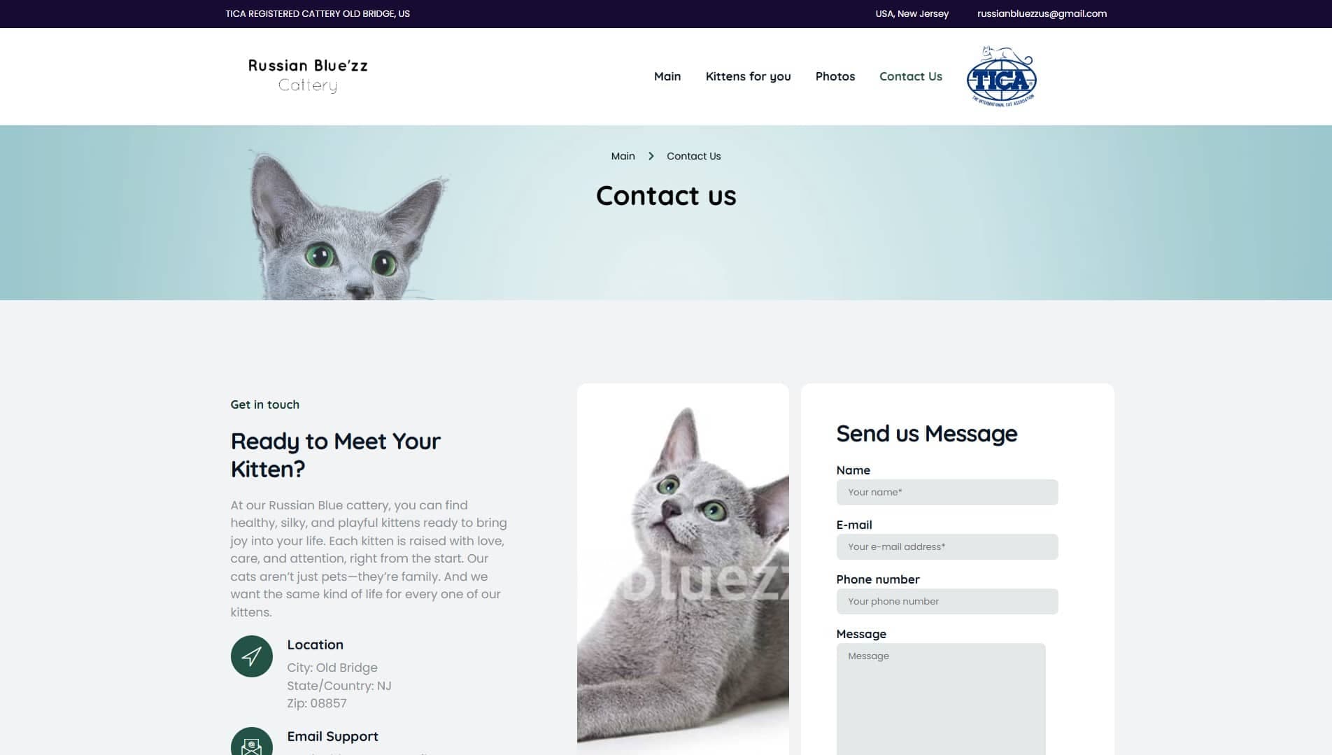 Russian Blue’zz Cattery — новый дизайн, брендирование и SEO