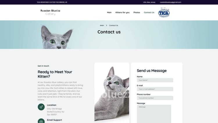 Russian Blue’zz Cattery — новый дизайн, брендирование и SEO